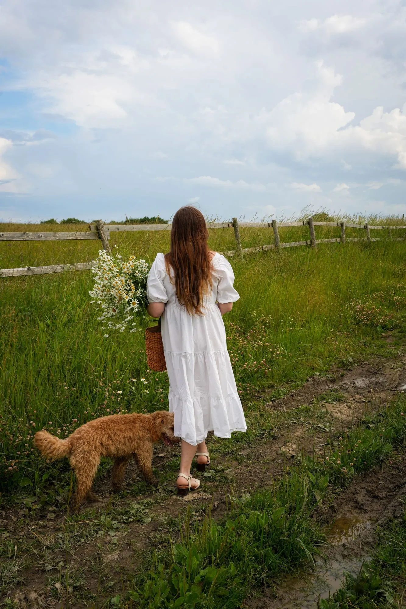 Mensch mit Hund von hinten auf einem Feldweg